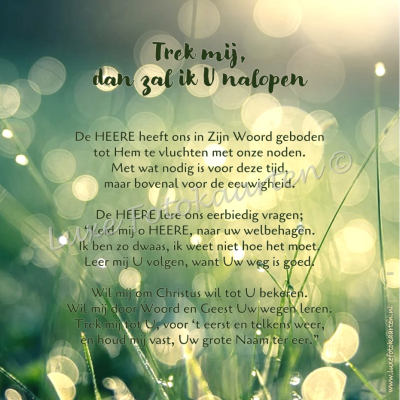 Gedichten - Trek mij, dan zal ik U nalopen